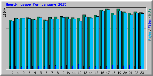 Hourly usage for January 2025